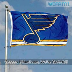 St Louis Blues Outdoor Flag Inexpensive STL Blues Gift